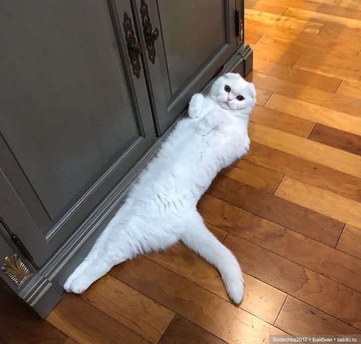 Доброго времени суток, всем | Бэйбики Доброго времени суток, всем (фото 5)