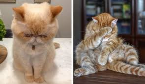 Доброго времени суток, всем | Бэйбики Доброго времени суток, всем