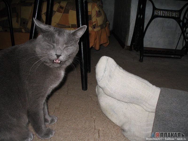 Доброго времени суток, всем | Бэйбики Доброго времени суток, всем (фото 9)