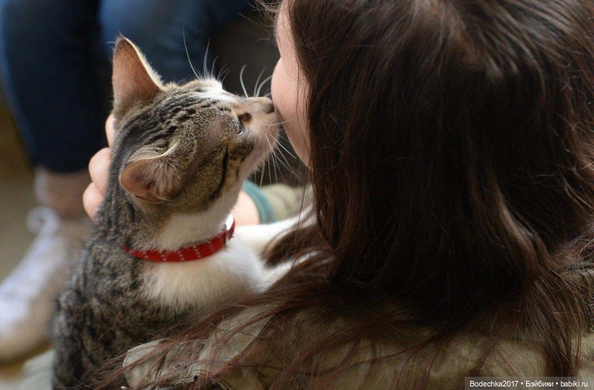 Доброго времени суток, всем | Бэйбики Доброго времени суток, всем (фото 4)