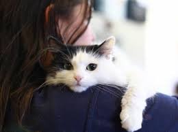 Доброго времени суток, всем | Бэйбики Доброго времени суток, всем