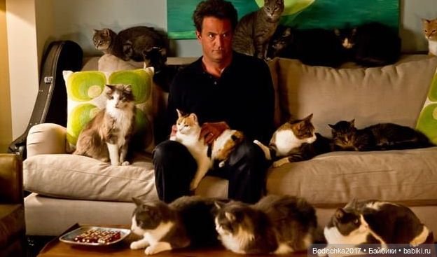 Доброго времени суток, всем | Бэйбики Доброго времени суток, всем