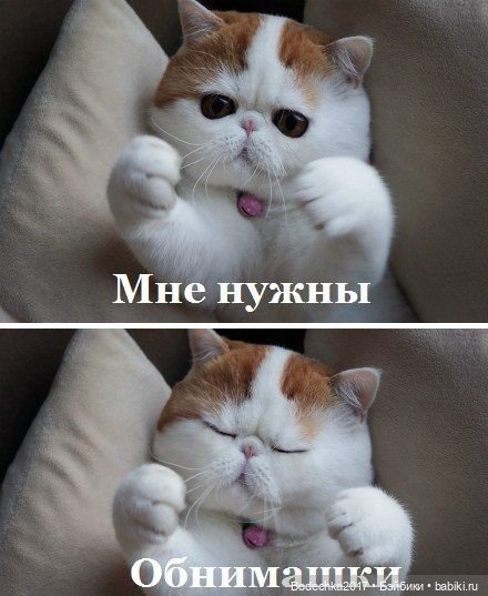 Доброго времени суток, всем