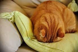 Доброго времени суток, всем | Бэйбики Доброго времени суток, всем