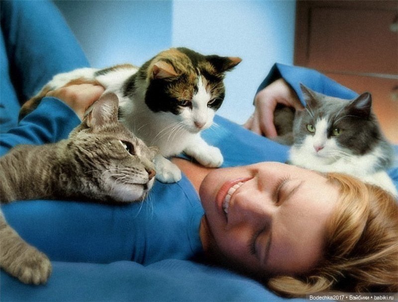 Доброго времени суток, всем | Бэйбики Доброго времени суток, всем