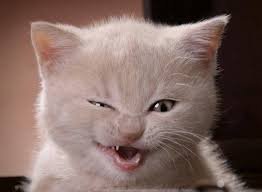 Доброго времени суток, всем | Бэйбики Доброго времени суток, всем