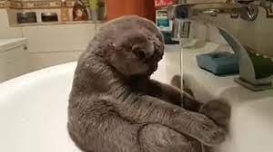 Доброго времени суток, всем | Бэйбики Доброго времени суток, всем