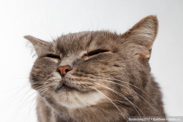 Доброго времени суток, всем | Бэйбики Доброго времени суток, всем (фото 10)