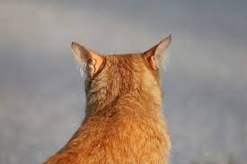 Доброго времени суток, всем | Бэйбики Доброго времени суток, всем