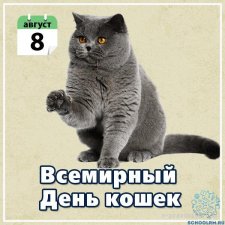 С днем кошек