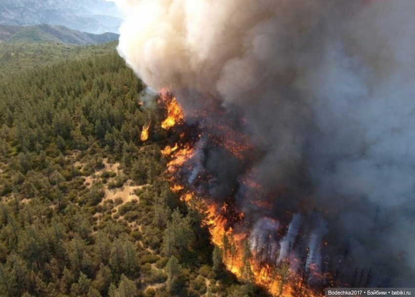 А люди ли мы еще — Болталка и разговоры обо всем: жизнь
