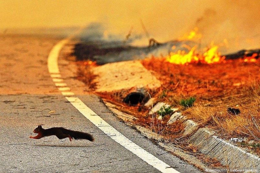 А люди ли мы еще — Болталка и разговоры обо всем: жизнь (фото 2)
