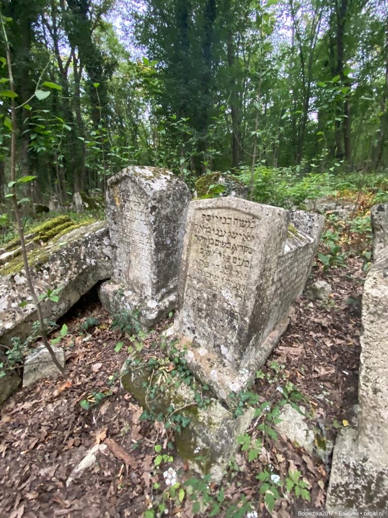 Наш Крым — Туризм и путешествия: фотоотчеты из поездок