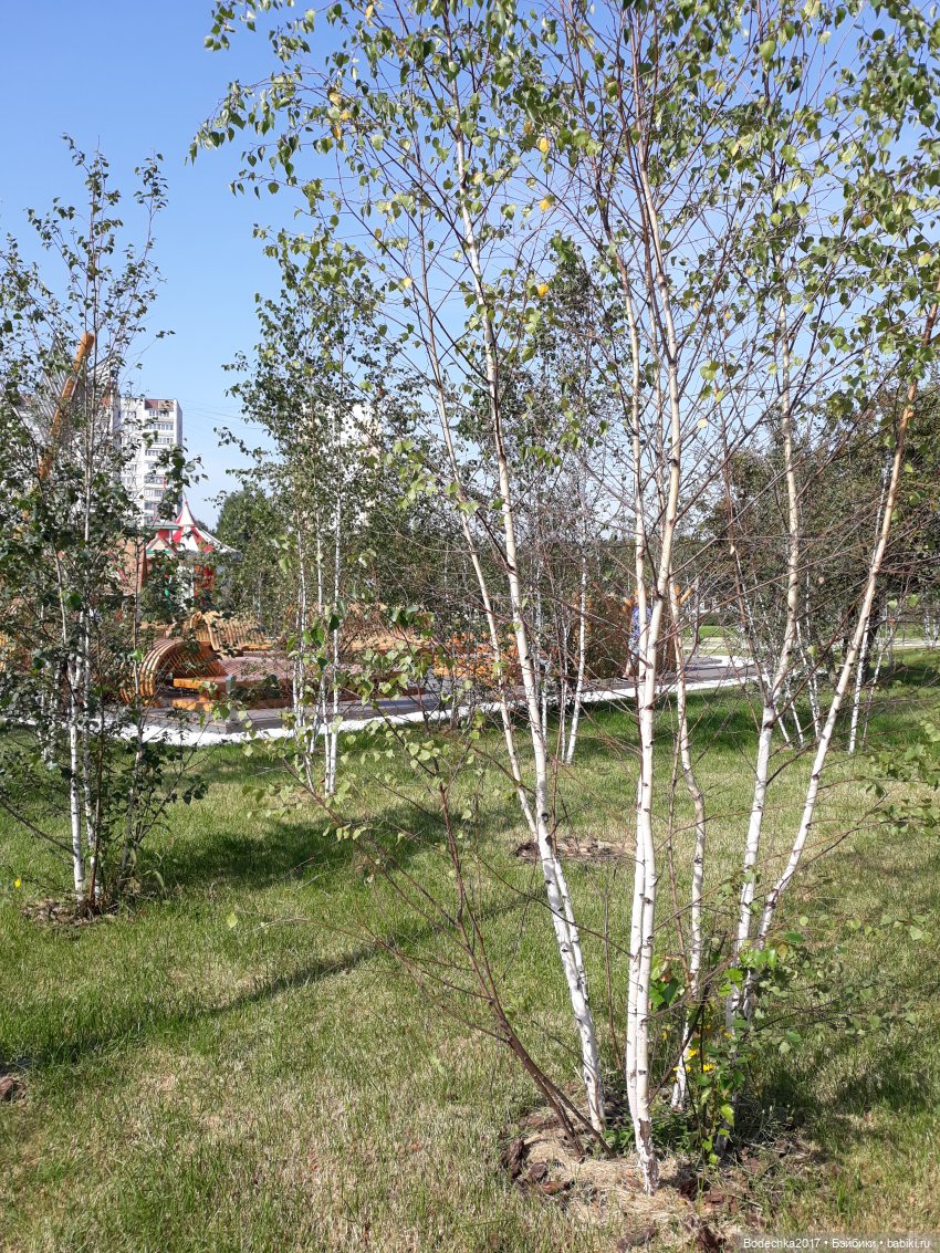 Городок к фестивалю «Московская весна A Cappella»