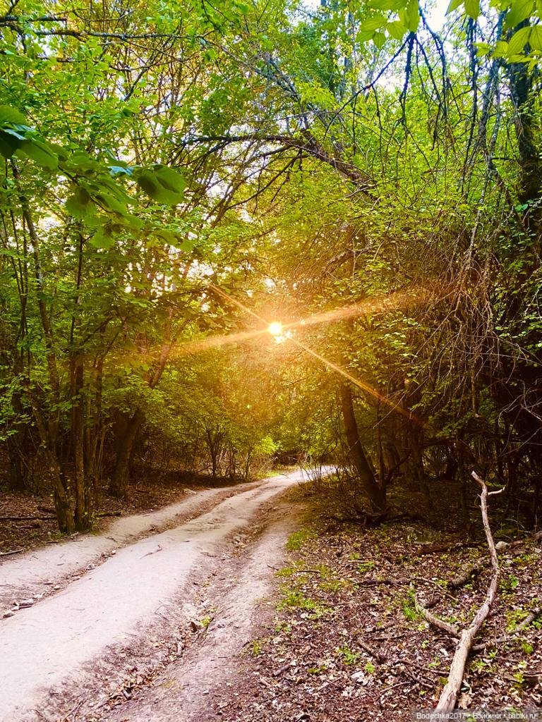 Наш Крым — Туризм и путешествия: фотоотчеты из поездок