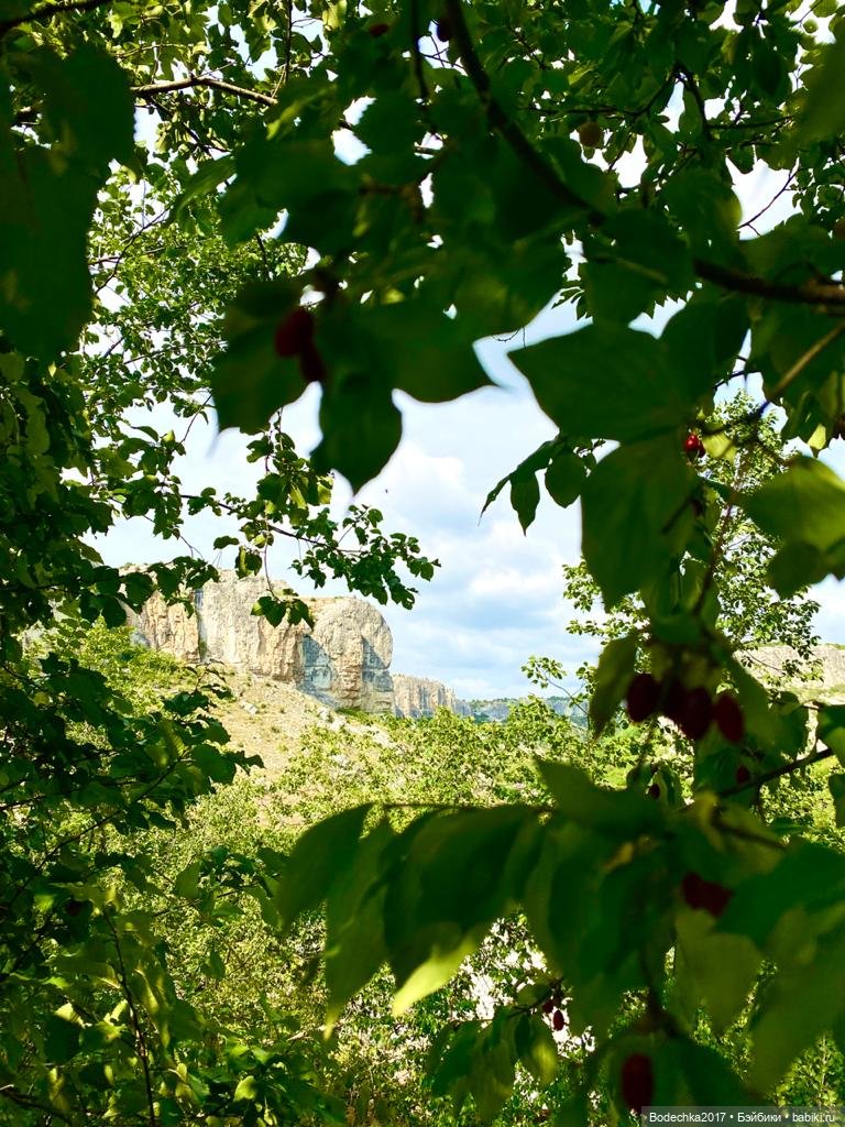 Наш Крым — Туризм и путешествия: фотоотчеты из поездок (фото 3)