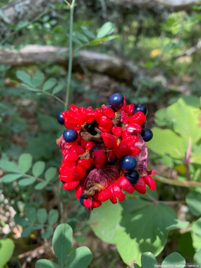 Наш Крым — Туризм и путешествия: фотоотчеты из поездок