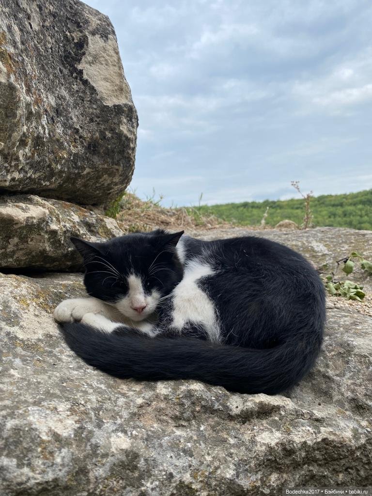 Наш Крым — Туризм и путешествия: фотоотчеты из поездок (фото 4)