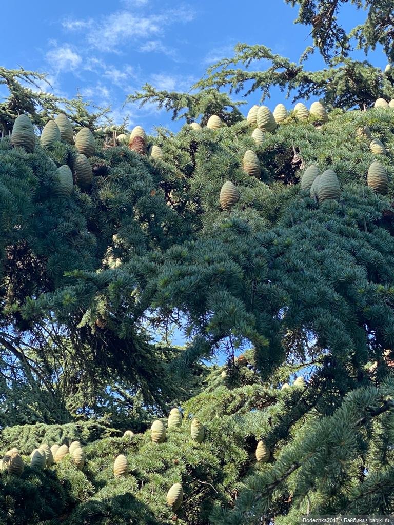 Наш Крым — Туризм и путешествия: фотоотчеты из поездок