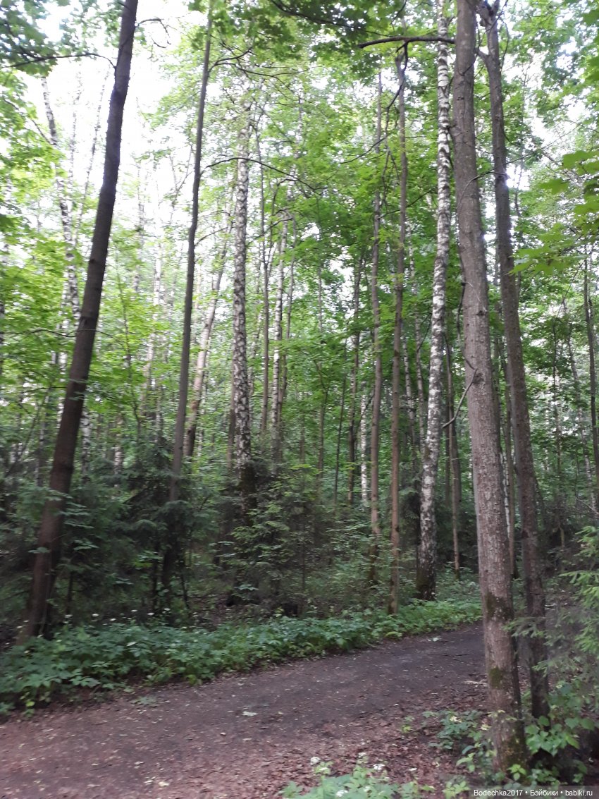 У меня растут зубы — Куклы Marie (фото 10)