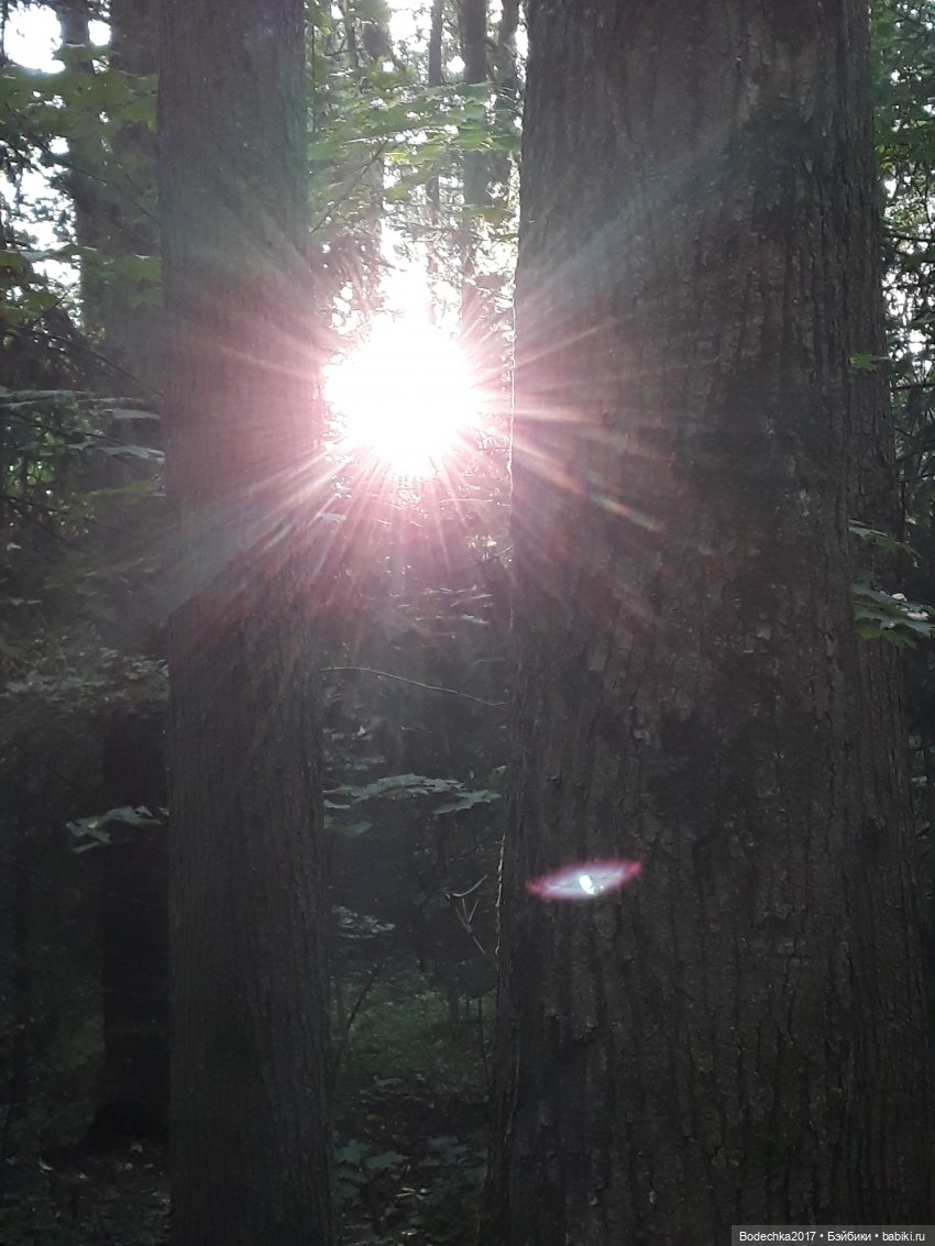 У меня растут зубы — Куклы Marie