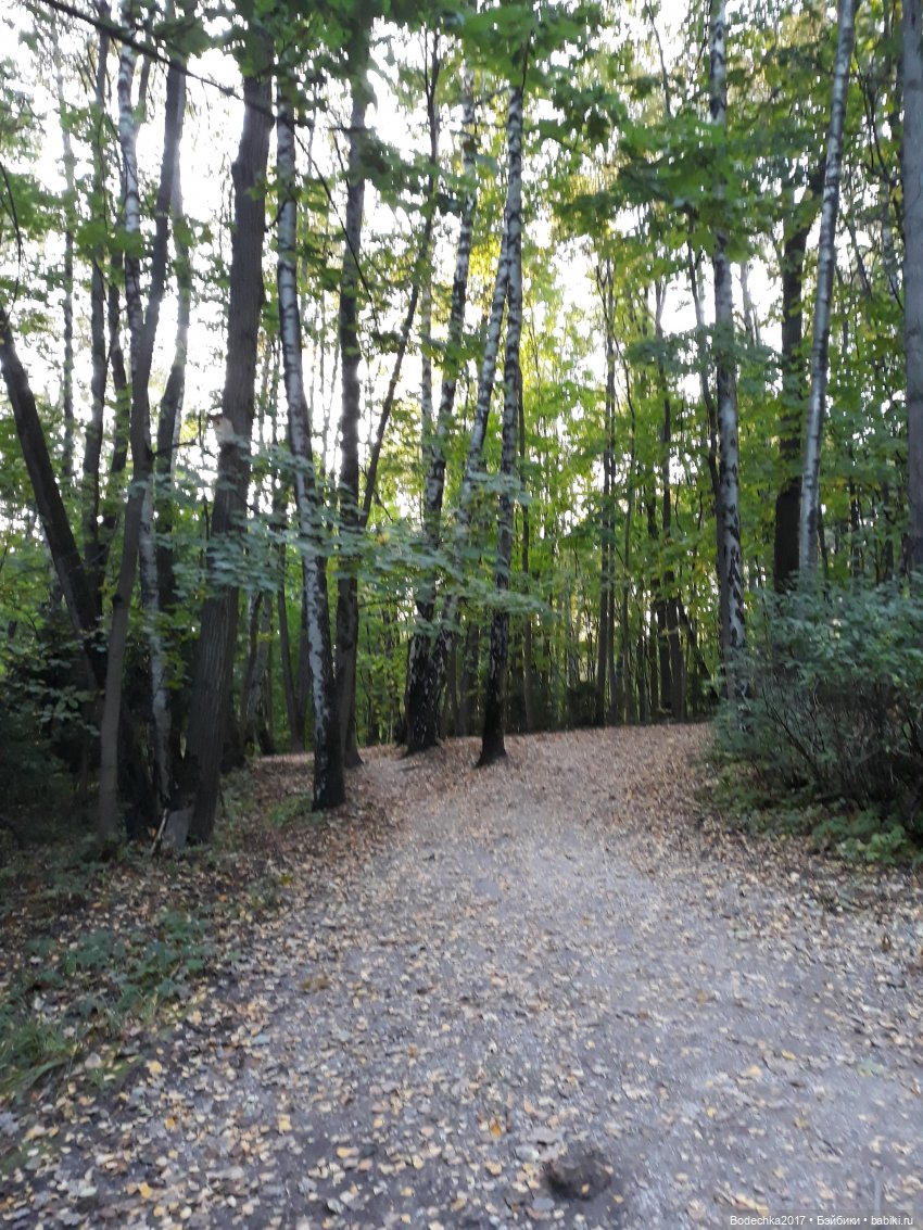 Лесная осень — Проба пера: рассказы