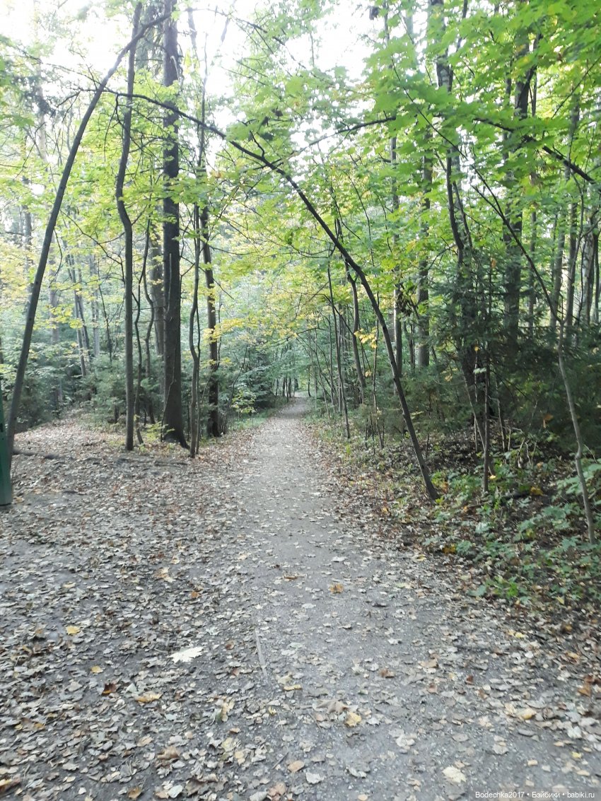 Лесная осень — Проба пера: рассказы (фото 6)