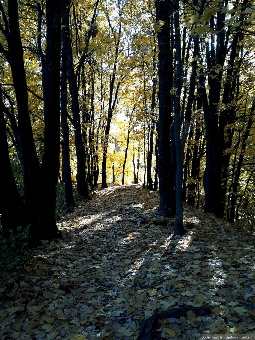 Вспоминая золотую осень — Винтажные куклы ГДР (Немки): Бигги (фото 9)