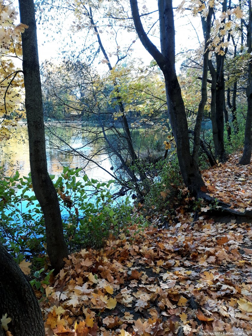 Вспоминая золотую осень — Винтажные куклы ГДР (Немки): Бигги (фото 6)