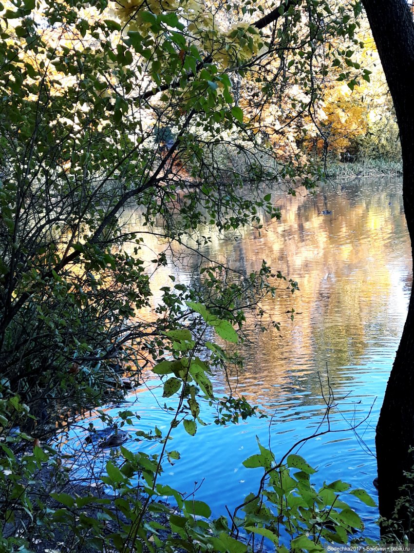 Вспоминая золотую осень — Винтажные куклы ГДР (Немки): Бигги