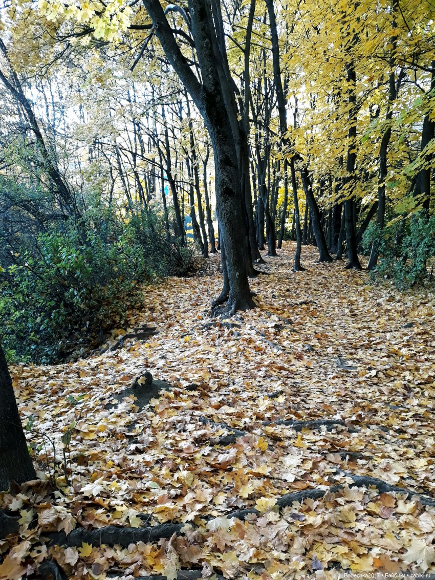 Вспоминая золотую осень — Винтажные куклы ГДР (Немки): Бигги (фото 7)