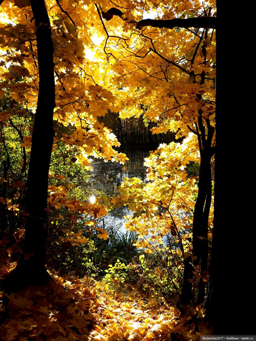 Вспоминая золотую осень — Винтажные куклы ГДР (Немки): Бигги (фото 10)