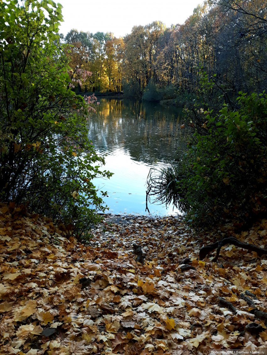 Вспоминая золотую осень — Винтажные куклы ГДР (Немки): Бигги (фото 8)