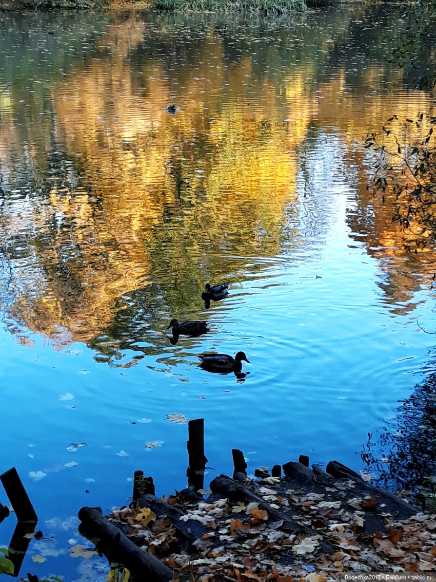 Вспоминая золотую осень — Винтажные куклы ГДР (Немки): Бигги