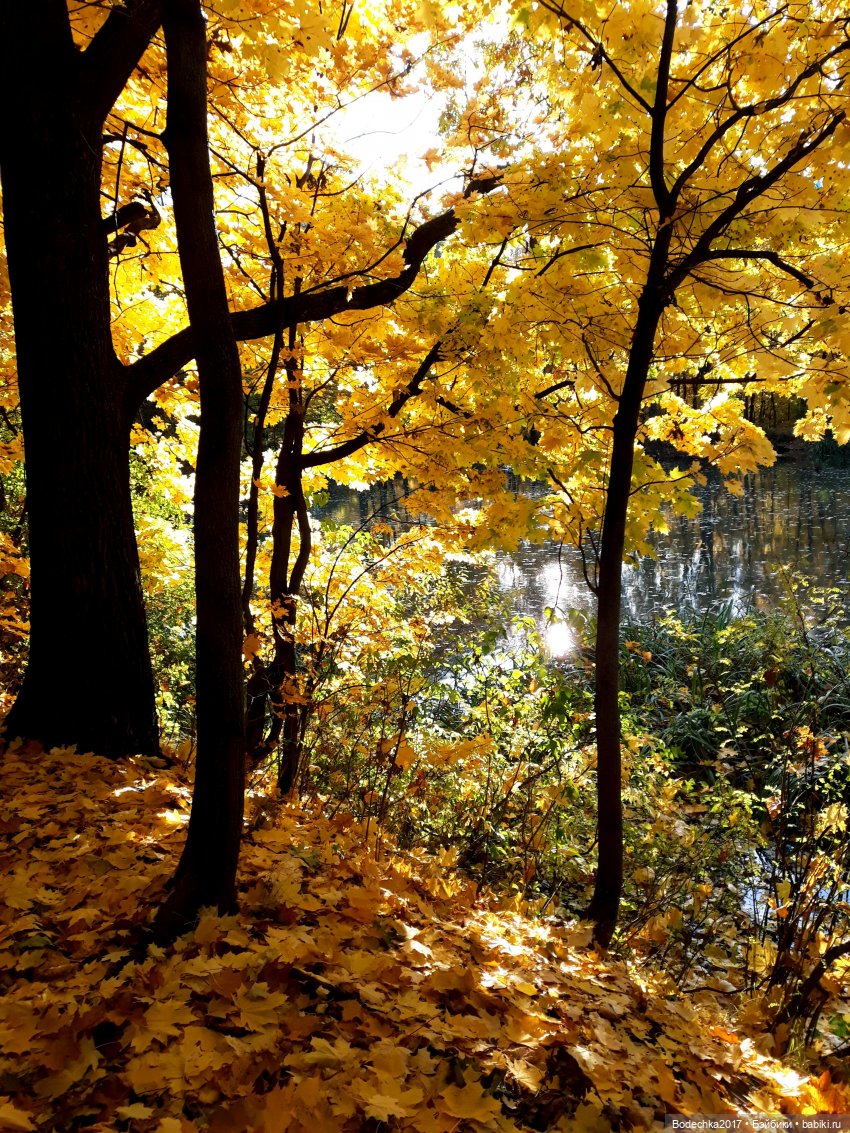 Вспоминая золотую осень — Винтажные куклы ГДР (Немки): Бигги