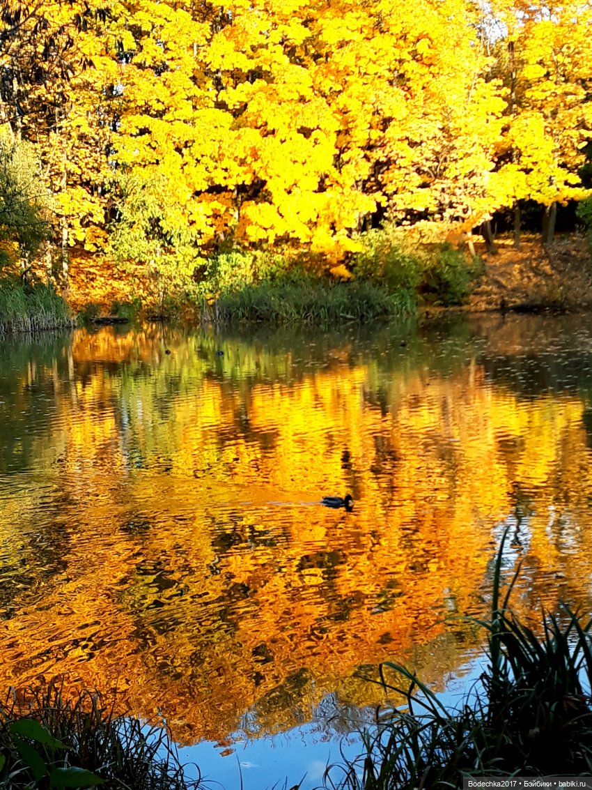 Вспоминая золотую осень — Винтажные куклы ГДР (Немки): Бигги
