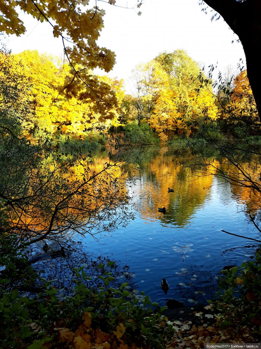 Вспоминая золотую осень — Винтажные куклы ГДР (Немки): Бигги