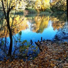 Вспоминая золотую осень.