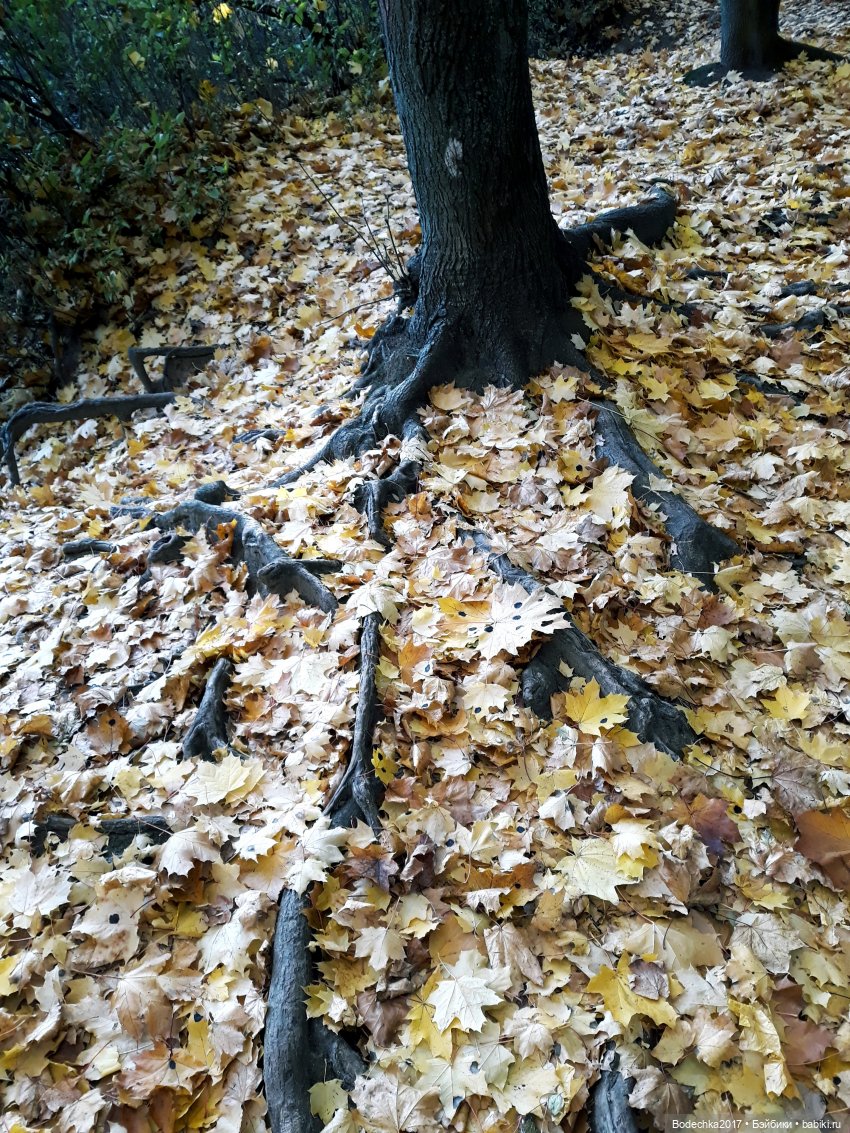 Заколдованный лес | Бэйбики Заколдованный лес — Винтажные куклы ГДР (Немки): Бигги