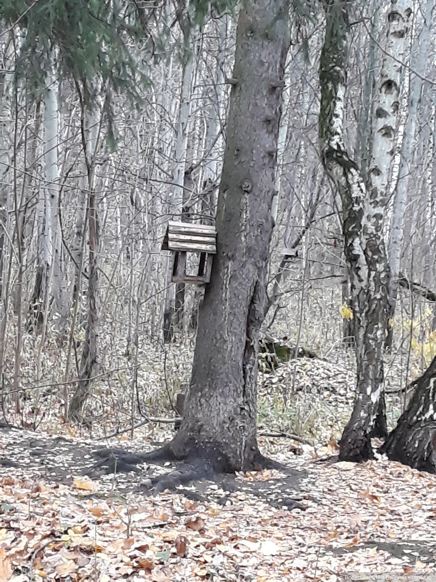 Заколдованный лес | Бэйбики Заколдованный лес — Винтажные куклы ГДР (Немки): Бигги