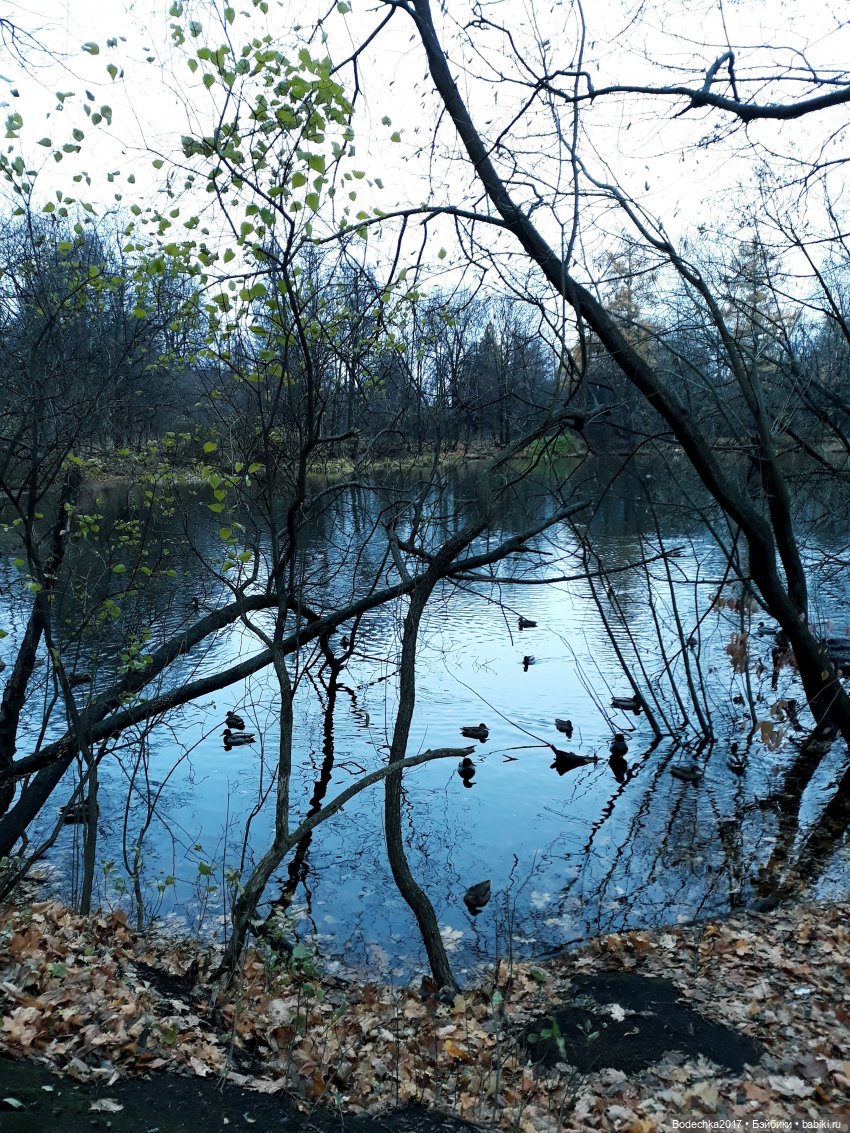 Заколдованный лес | Бэйбики Заколдованный лес — Винтажные куклы ГДР (Немки): Бигги