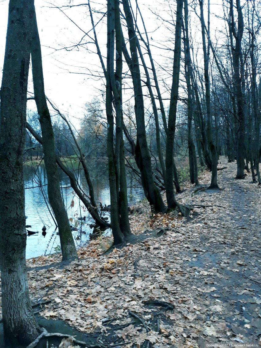 Заколдованный лес | Бэйбики Заколдованный лес — Винтажные куклы ГДР (Немки): Бигги