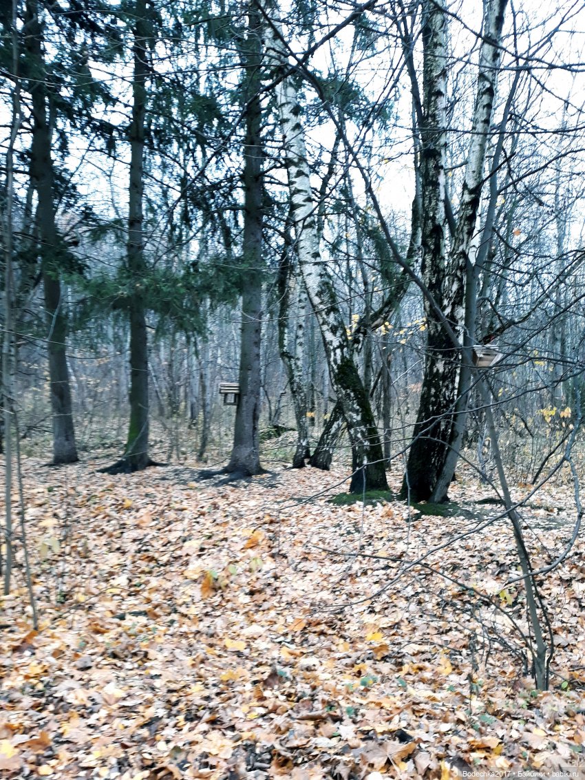 Заколдованный лес | Бэйбики Заколдованный лес — Винтажные куклы ГДР (Немки): Бигги