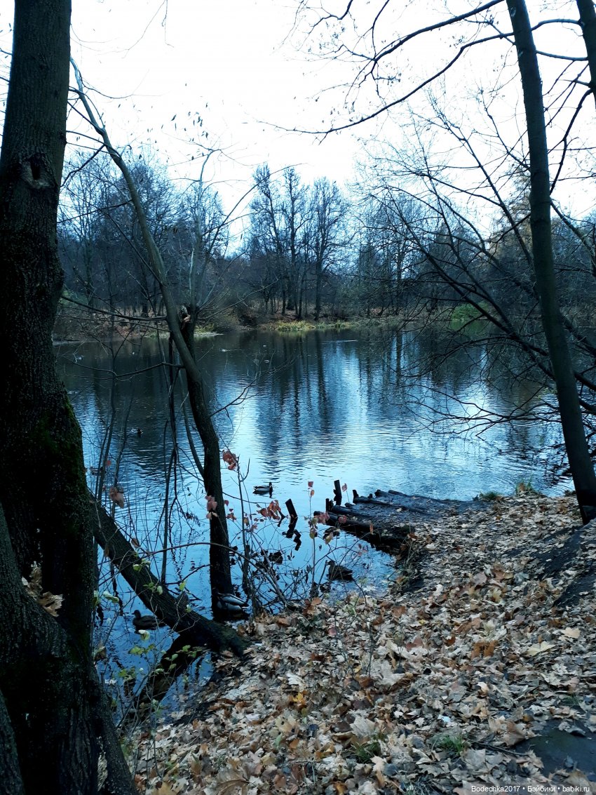 Заколдованный лес | Бэйбики Заколдованный лес — Винтажные куклы ГДР (Немки): Бигги