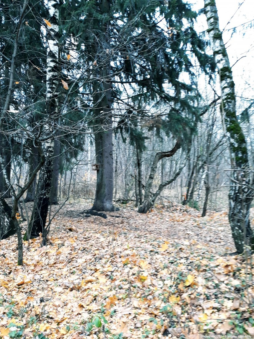 Заколдованный лес | Бэйбики Заколдованный лес — Винтажные куклы ГДР (Немки): Бигги