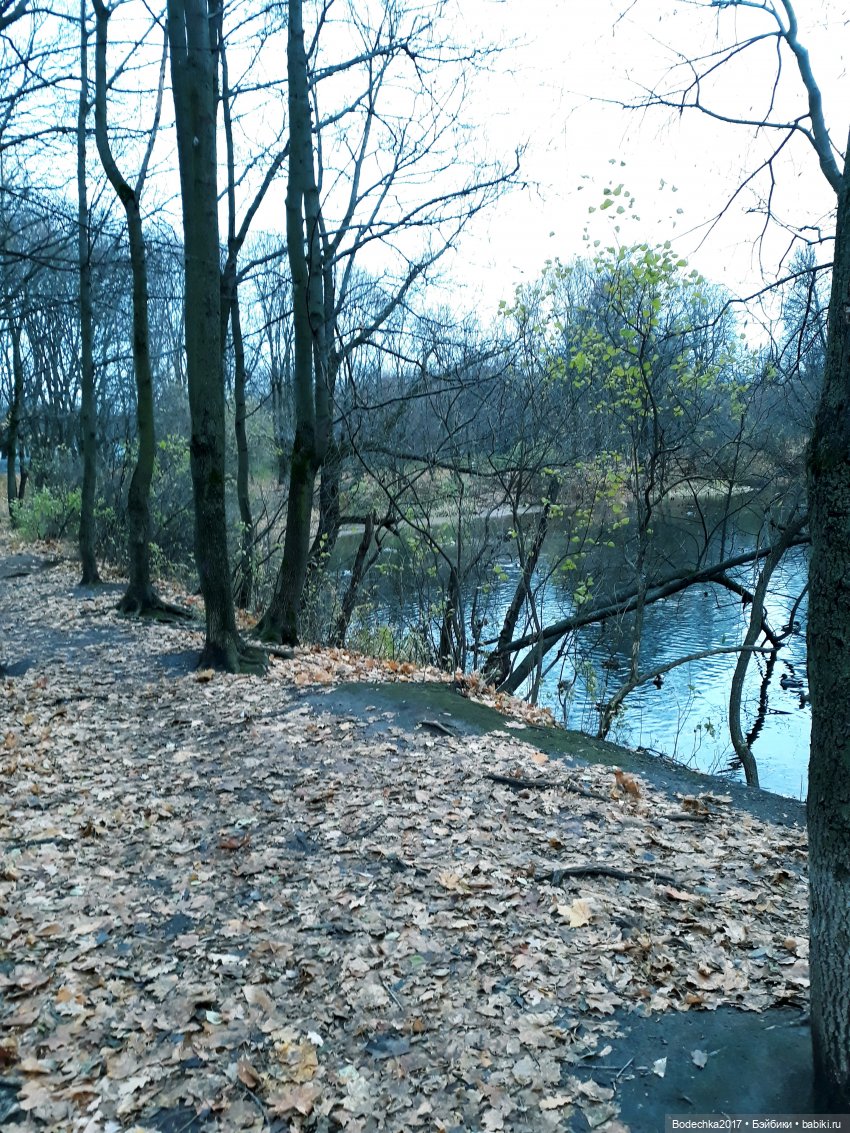 Заколдованный лес | Бэйбики Заколдованный лес — Винтажные куклы ГДР (Немки): Бигги
