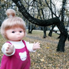 Заколдованный лес