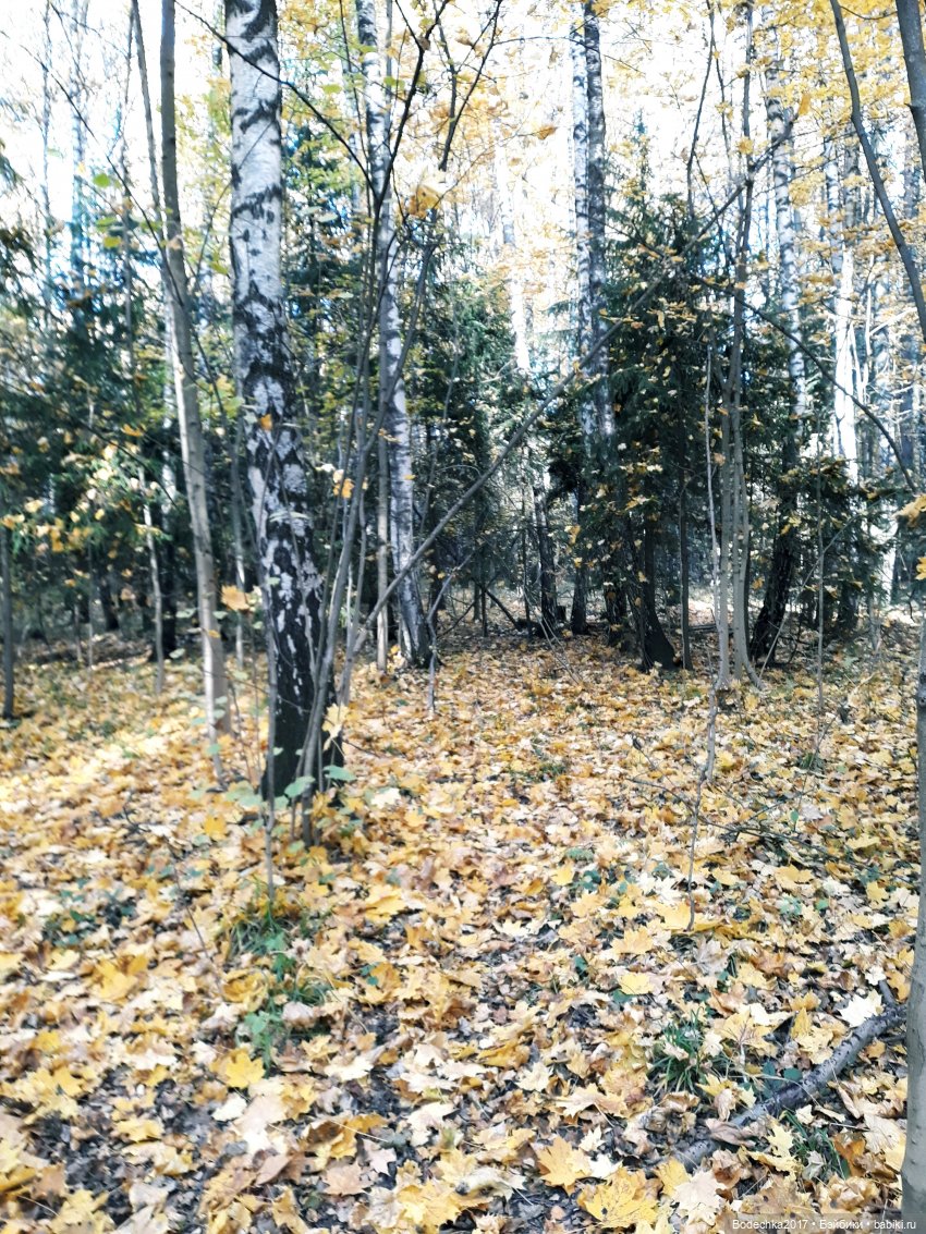 Удивительная осень — Игрушки СССР и советского детства: резиновые (фото 9)