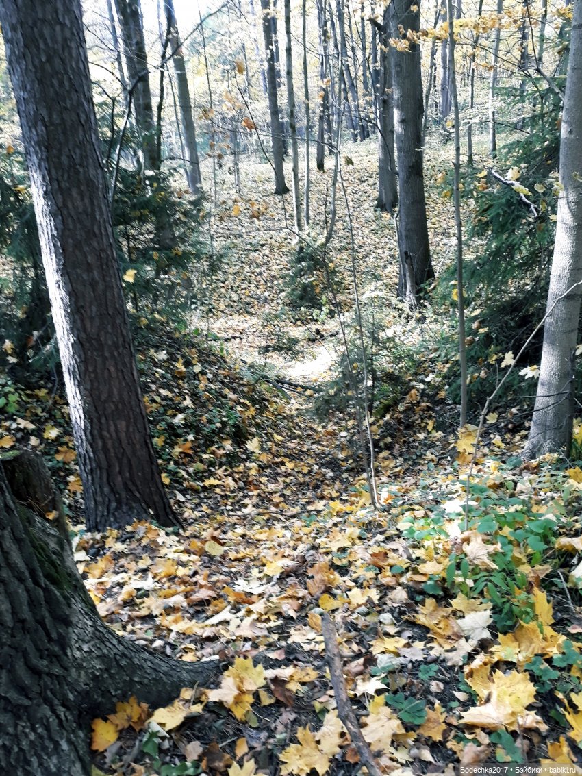 Удивительная осень — Игрушки СССР и советского детства: резиновые (фото 10)