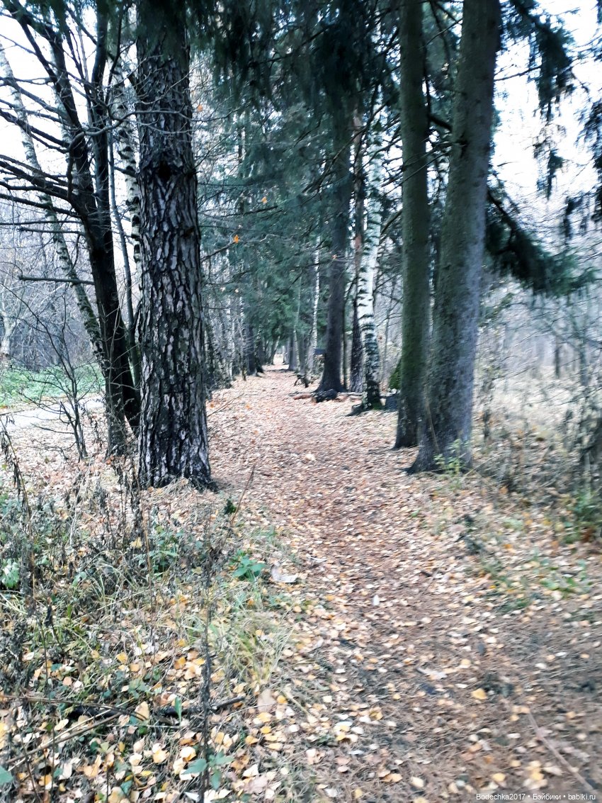 Удивительная осень — Игрушки СССР и советского детства: резиновые